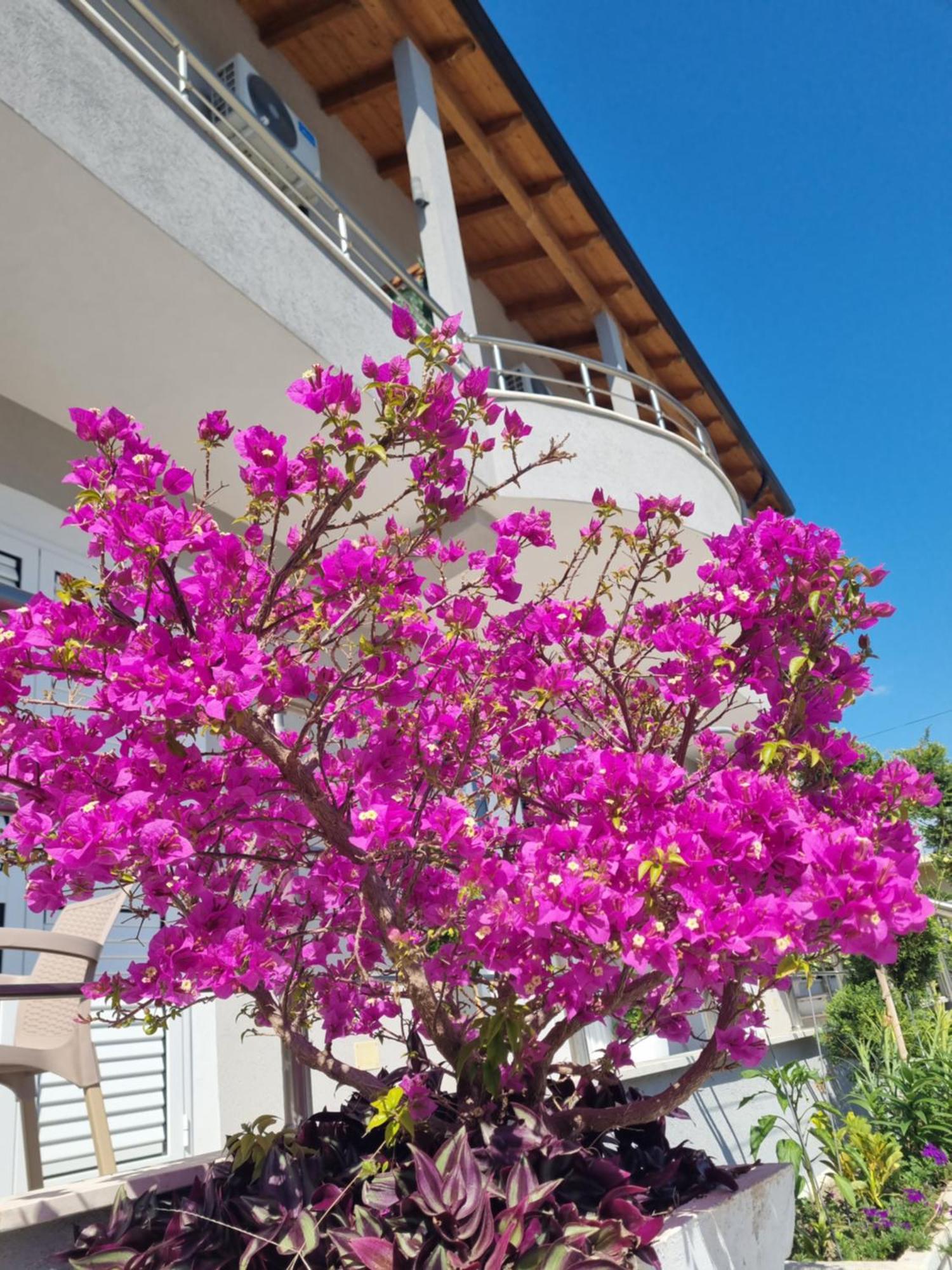 Vila Soleil Vlorë 外观 照片