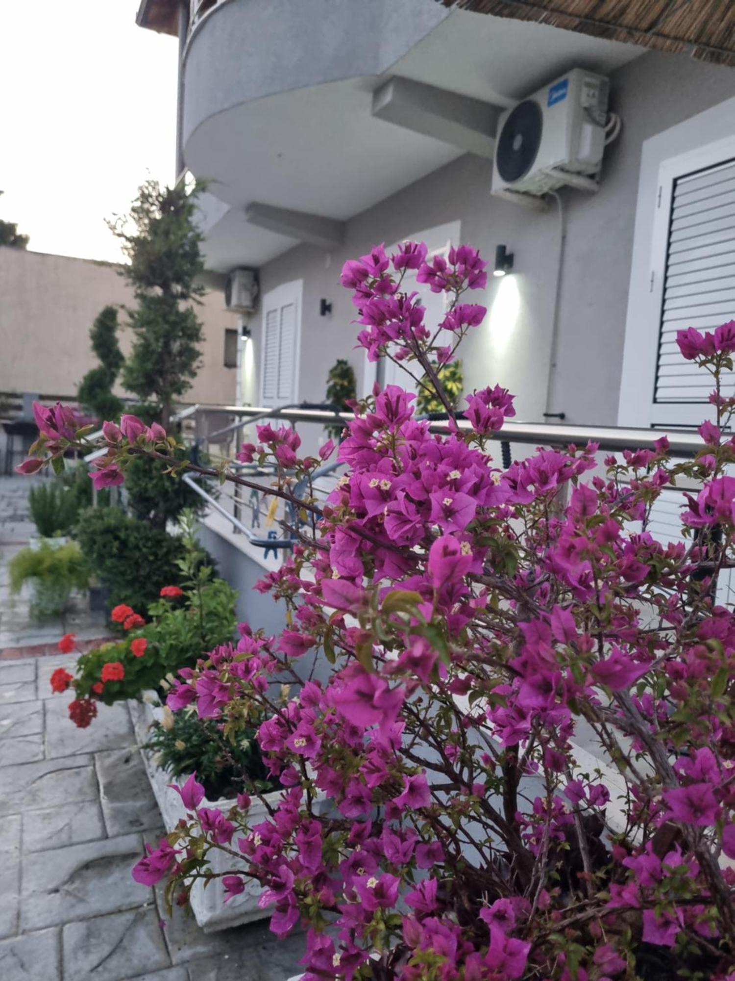 Vila Soleil Vlorë 外观 照片